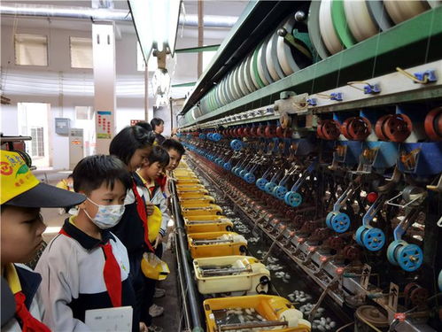 春日蠶桑研學(xué)，探秘絲織之美——記佛山南海絲廠文化之旅